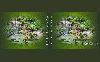 Jméno souboru : Morela~0.gif
Velikost souboru : 395KB
Rozměry : 640x400
Datum přidání : Duben 05, 2012 Morela~0.gif