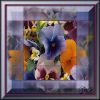 Файл=Tag_Floralnadia.jpg
Объём=456KB
Размеры=600x600
Дата=Янв 20, 2010 Tag_Floralnadia.jpg